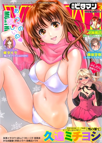 Monthly Vitaman 2013-03 cover