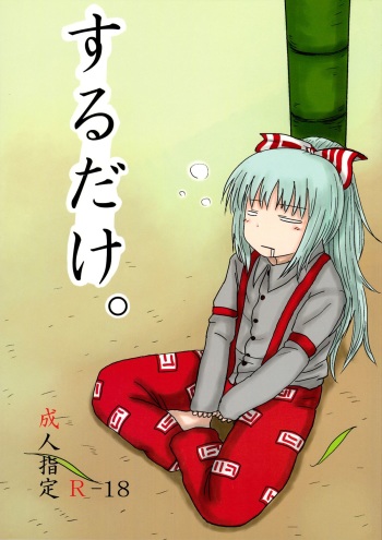 SURUDAKE. cover