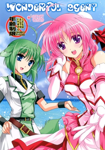 Wonderful Agent cover