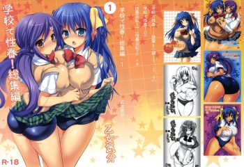 Gakkou de Seishun! Soushuuhen 1 cover