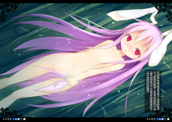 Touhou-Reisen cover