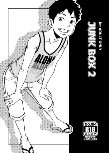 Junkbox 2 cover