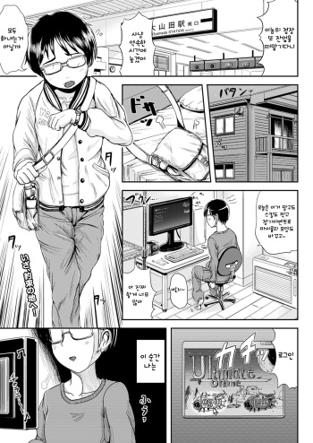 Narikiri Online cover