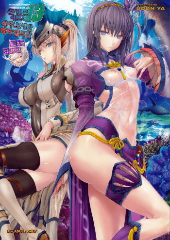 Monhan no Erohon 13 cover