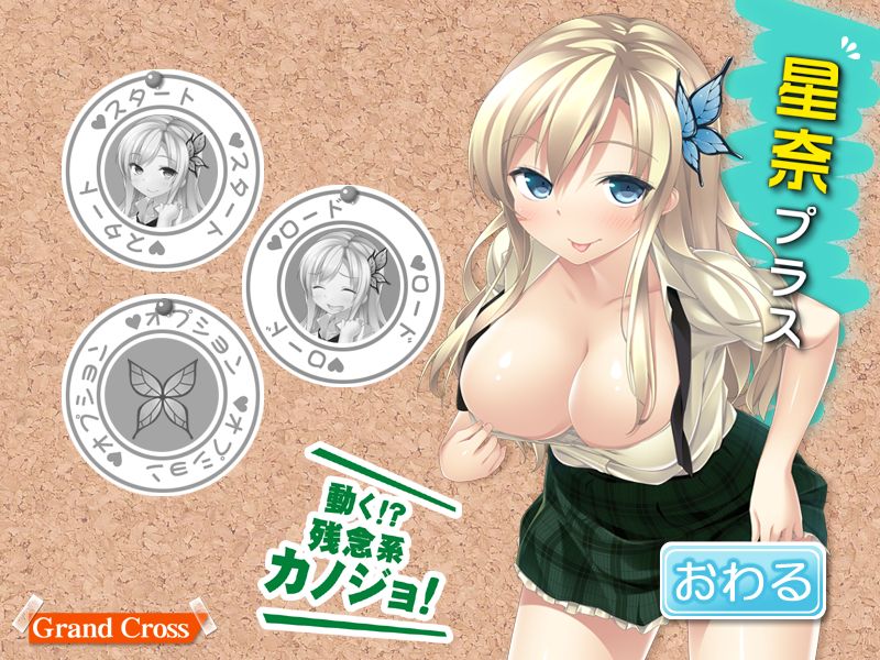 Sena Plus page 2 full