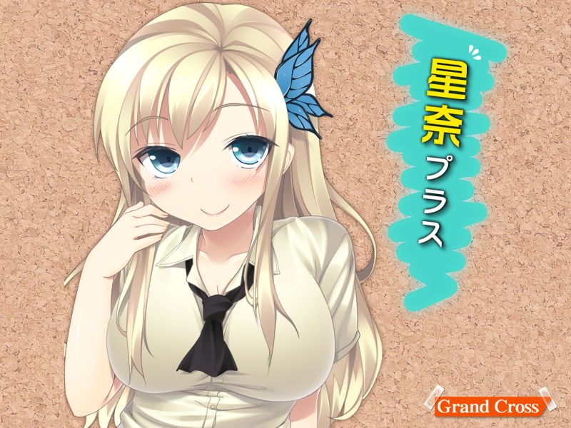 Sena Plus page 5 full