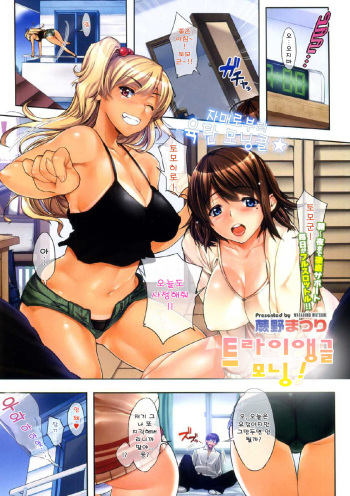 Triangle Morning! cover
