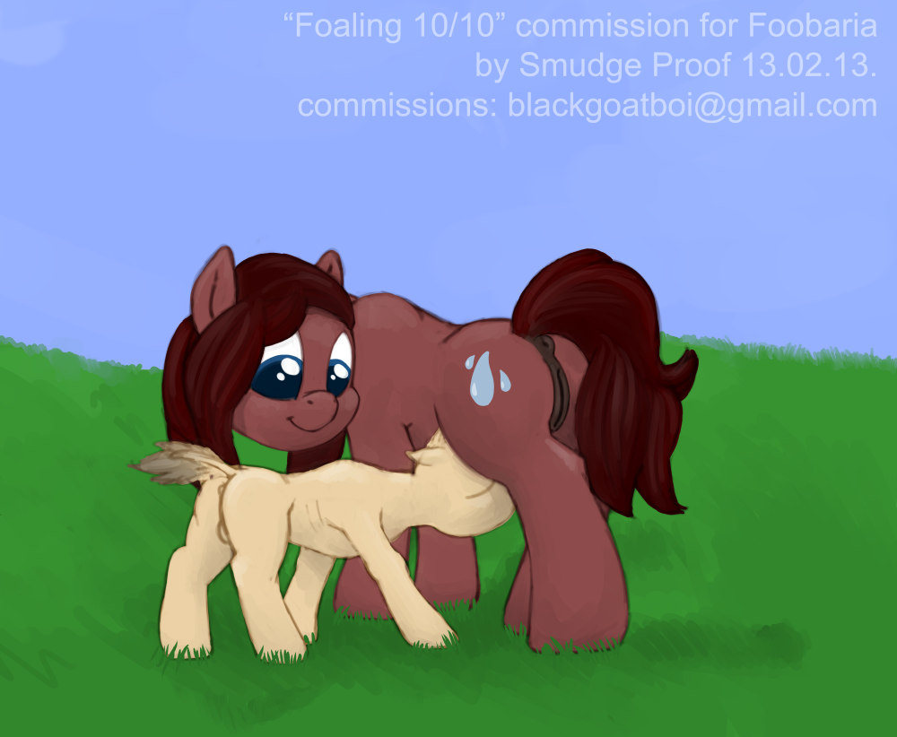 foaling page 10 full