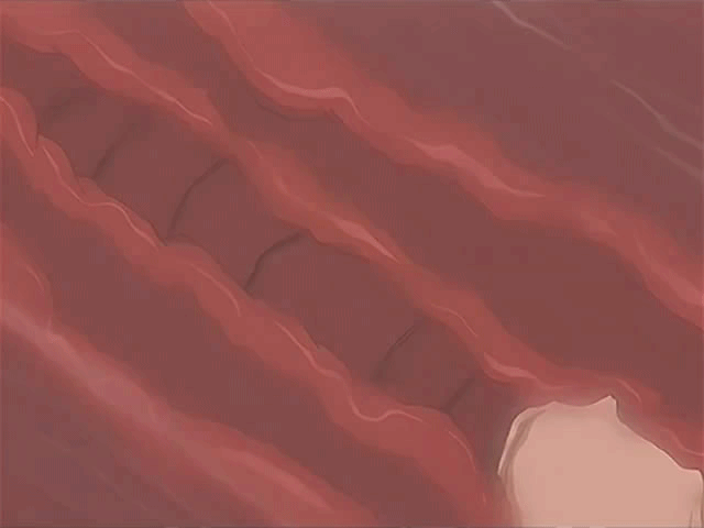 Small set of GIFs part 4 page 2 full
