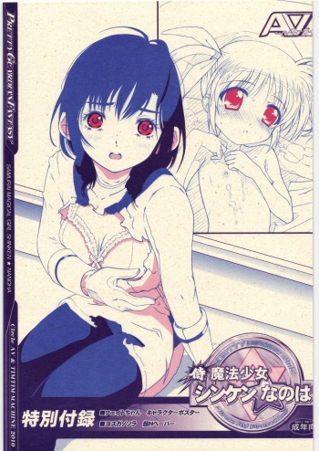 Samurai Mahou Shoujo Shinken Nanoha cover