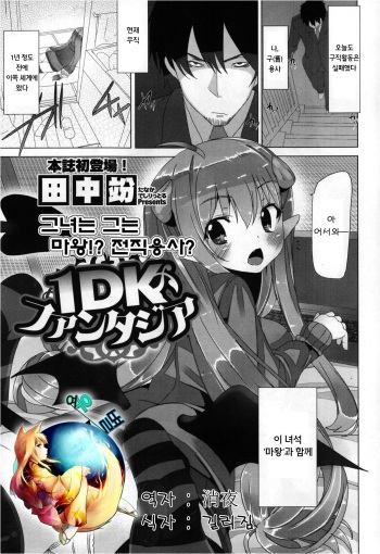 1DK Fantasia cover
