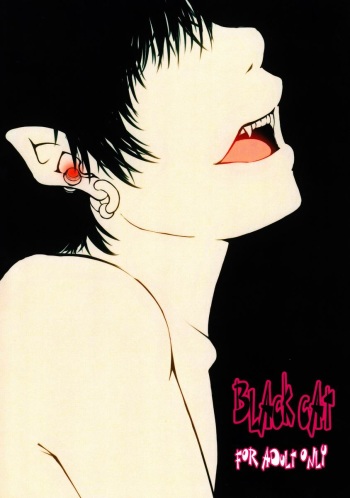 Black Cat cover