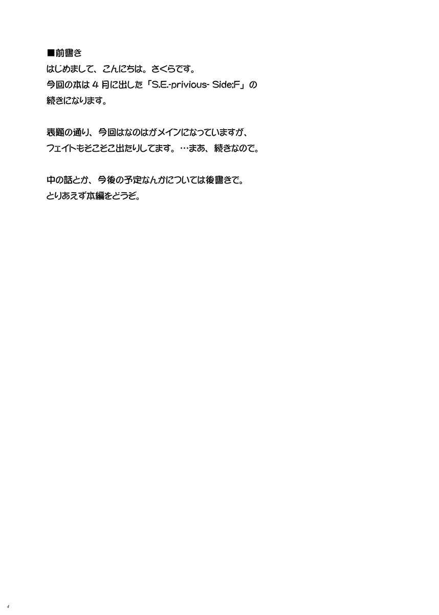S.E.-after- Side;N page 3 full
