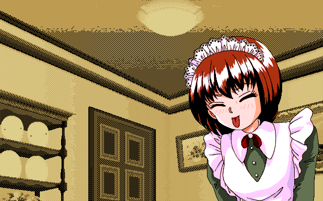 Misato chan no Yume Nikki page 10 full