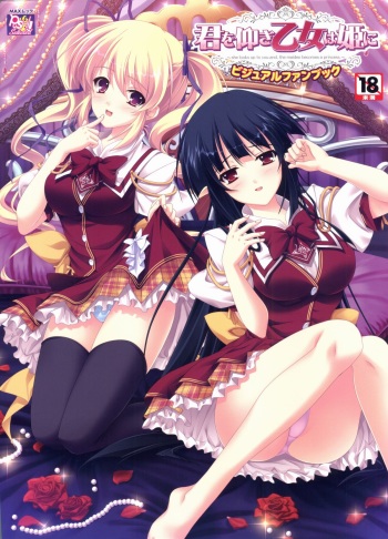 Kimi wo Aogi Otome wa Hime ni Visual Fan Book cover