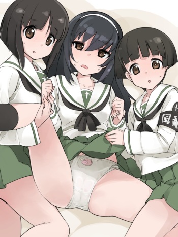 Shiropan cover