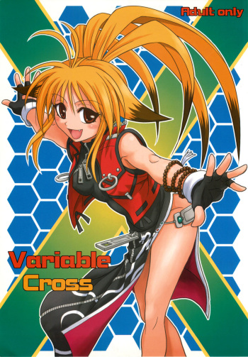 Variable Cross cover
