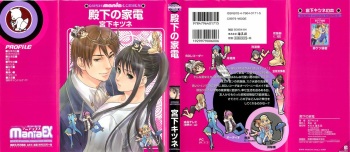Denka no Kaden cover