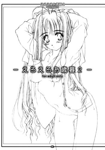 eroeroo seibo 2 cover