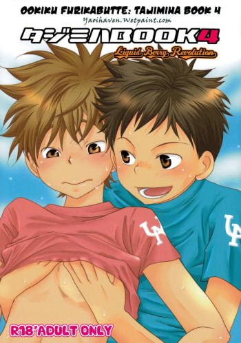 Tajimiha BOOK 4 cover