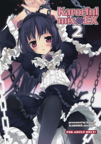 karorfulmix EX 2 cover
