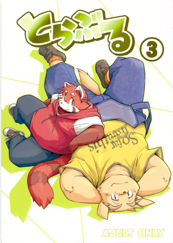 Trouble 3 cover