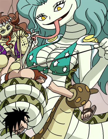 Boa cover
