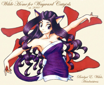 bewildred art cover