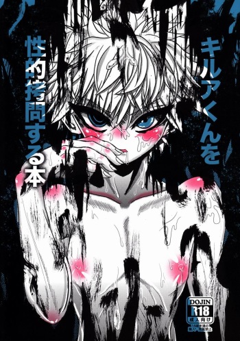 Killua-kun o Seiteki Goumon Suru Hon cover
