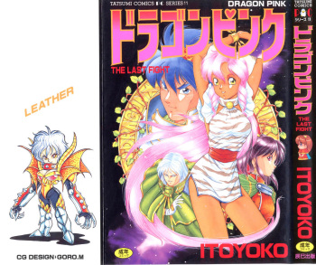 Dragon Pink THE LAST FIGHT cover