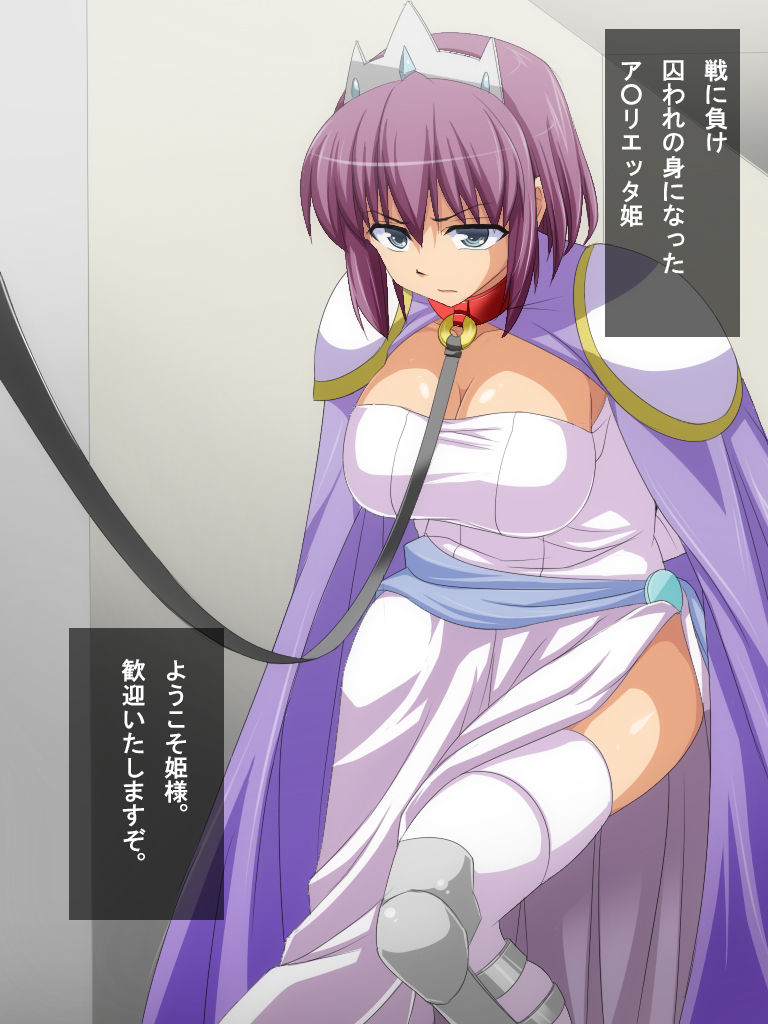 Royal Bitch o Niku Dorei ni Suru CG shuu page 2 full