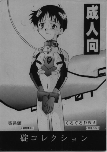 Ikari &amp; Kaoru Correction cover