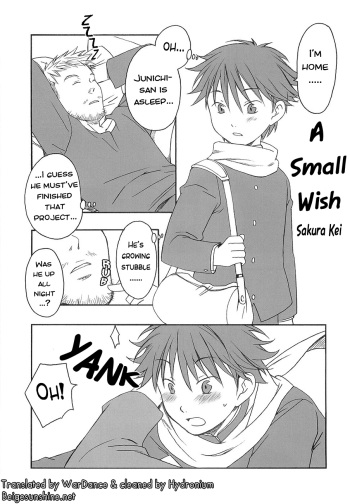 Chiisana Negai | A Small wish cover