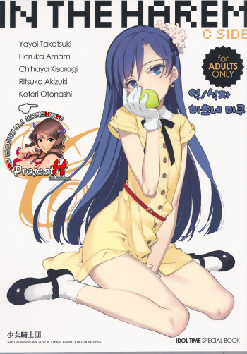 IN THE HAREM C SIDE cover