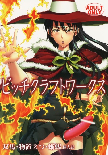 Bitch Craft Works cover