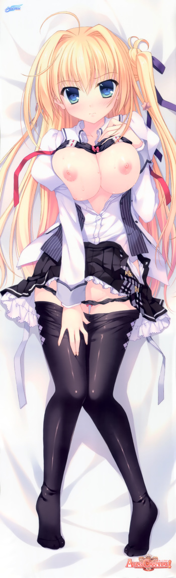 Dakimakura collection cover
