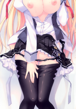 Dakimakura collection