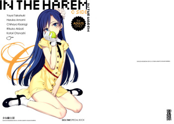 IN THE HAREM C SIDE cover