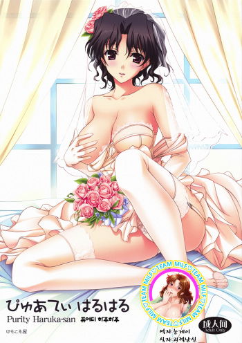 Purity Haruharu cover