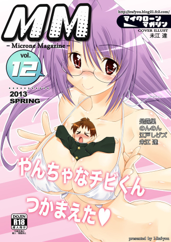 Microne Magazine Vol. 12 cover