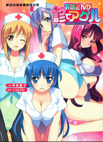 Oneesan ga Miteageru cover