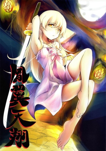 Houyoku Tenshou 2 cover