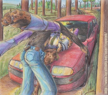 coyotek cover