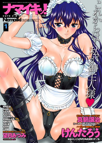 Namaiki! 2013-01 cover