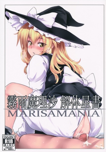 Kirisame Marisa Kaitai Seisho cover