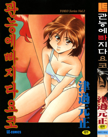 Kannou ni Oboreru Youko cover