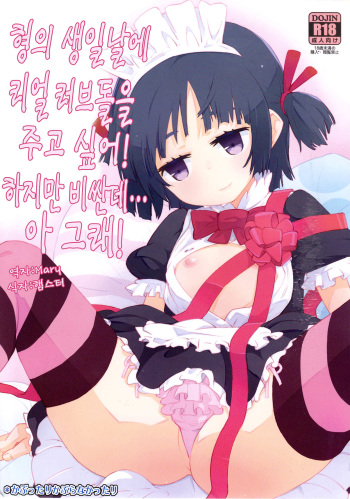 Onii-chan no Tanjoubi ni Real Love Doll wo Agetai! Demo Takai shi......Sou da! cover
