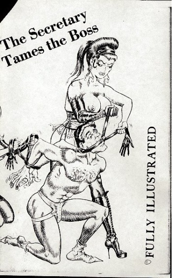 The secretary tame the boss cover