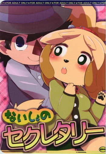 Naisho no Secretary cover