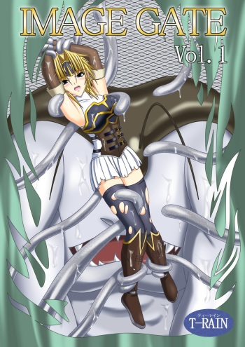 IMAGE GATE cover